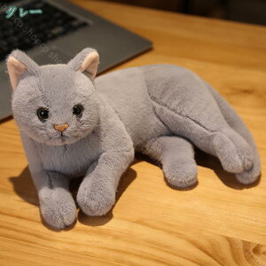 300~OFFN[| ʂ  lR L  傫/ lR/˂/j/ӂӂʂ \t@[ xbh[ z[ Q R[q[Vbv Ƃ̑ wj 