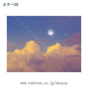 300~OFFN[| ͋C] z|X^[ ^yXg[ CeA @\ |GXe Ǌ| IC݉ |pǕz  X   Ǐ J[e v[g 