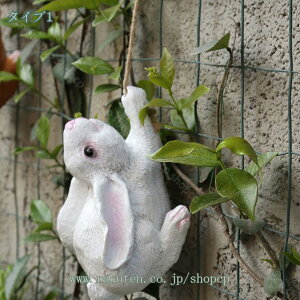 K[fI[ig  K[f݂艺u ETMIuWF  ގ K[fjOG ݂艺  K[f x_ O 킢G eIuWF 