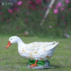  IuWF  ̒u AeB[N K[fjO G Aqu fBXvC CeA i H|i  ̑ Aqu K[fjO Ȓu 