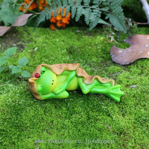 777~OFFN[| K[fjO G u  IuWF  ^u JG̒u JG̃IuWF  CeAG H|i 낢 Ő  K[fIuWF |W 