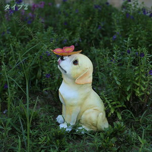 1000~OFFN[| L̒u \[[Cg Lbg K[fIuWF CAT  \[[u I[ig lR G K[f IuWF ˂ObY K[fjO CeA }XRbg 