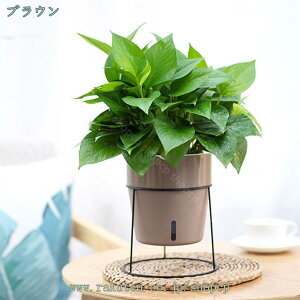 300~OFFN[| |bg X^h t[X^h t ϗtA ACA X`[ u Jo[ v^[X^h AؔX^h t[ bN  ԑ AI  k 