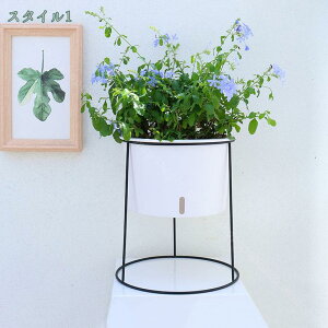 {[v^[X^h ubNK[fjOpi K[fjO | A ͔|  x_ ƒ A  ӏ ԑ t[X^h |bgX^h |bN Aؔu v