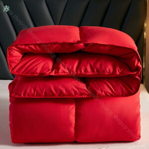 2000円OFFクーポン 羽毛布団 ダブル 1枚合わせ 『増量4kg』抗菌 肌布団は洗えるリビング 羽毛掛け布団 オールシーズン 1枚合せ ふとん ぶとん ダブルロングサイズ 羽毛布団 羽毛掛け布団 1枚合