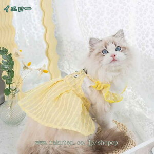 300~OFFN[|  t  L s[X ʋC y Ȃ ̕ ybg hbOEFA ybgEFA p Lp ybgp L ĕ ̎q ^ ꂢ   U 