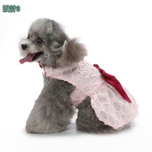 300~OFFN[| hbOEGA ^Ngbv m[X[u L~\[ s[X ybgEFA   p Lp m Ȃ  JWA  ybgp ^ ^ 