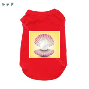  t  ̕ ėp ʋC    ^ ^ ^ L h іh~ Vv e ybgTVc 6F 9TCY p H ~ ʔN ^p 킢  shop