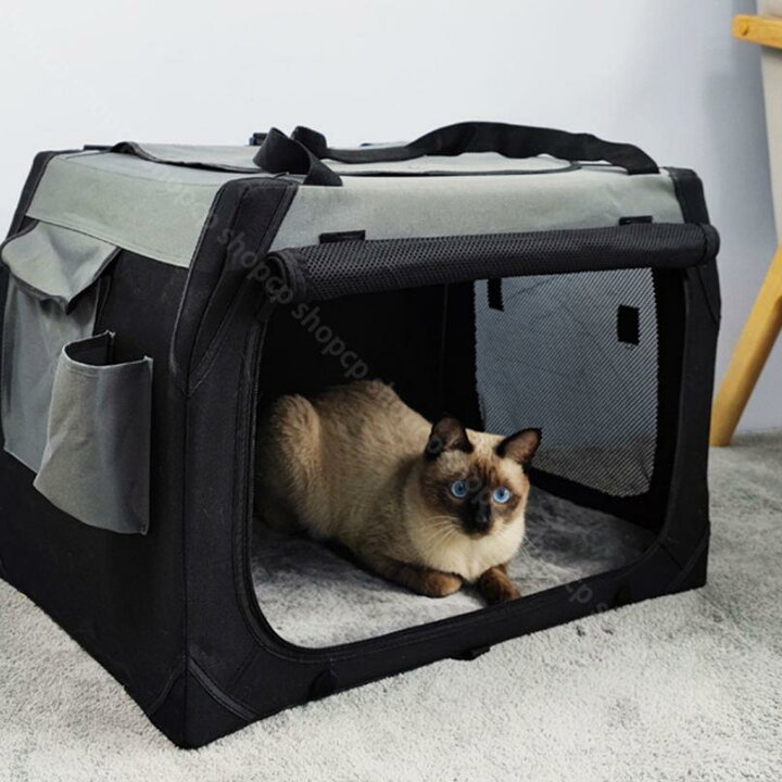 通気性メッシュペットキャリーバッグ、ポータブル旅行猫子犬トートバッグ、折りたたみ式旅行ペットショルダーバッグ、航空会社承認ハンドキャ Amazon | DODOPET ペットキャリー ペット用バッグ 軽量 ボーダー柄 折りたたみ メッシュ地 小中型犬猫向け ペットキャリーバッグ  お出かけ用品 外出 散歩用ハンドバッグ おしゃれ 通気性 猫用 キャリーバッグ 通気 ポケット付 脱走防止リード付き (レッド) | DO DO PET  ... 