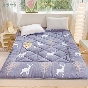 2000~OFFN[| ~zc _u 5~6cm ~zc Ɍ  {[3w~zc zc {[ 3w ӂƂ Q E^  ӂӂ ق肪łɂ RpNg V ~ӂƂ 