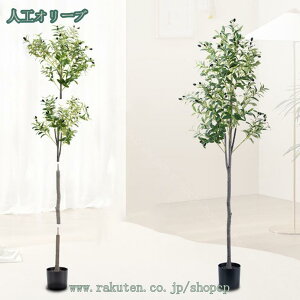 lHϗtA ^ tFCNI[u tFCNO[ ^ lHA CeA  p O rO ItBX tFCNO[ ϗtA tFCNA sv ͂Ȃ ~