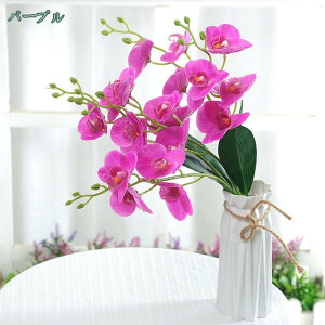 300~OFFN[| Ӓ  ~jA CeA lHϗtA tFCNt[ VNt[  ͂Ȃ { ͂Ȃ CeA  ItBX tFCN