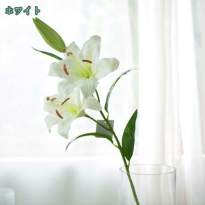 500~OFFN[| 3{Zbg lH lHϗtA   lH̉ VN̑ ͂Ȃ t[AWg  CeA ̓ hV̓ Mtg ̉ԑ 