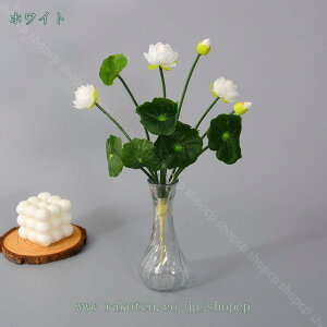 777~OFFN[| 3{  @̉ tFCNt[  ͂Ȃ @̃u[P ԑ a O @̉ VNt[ 炫 ȔA tFCN[^X @̗t ϗtA 