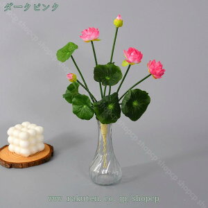 777~OFFN[| 3{  @̉ tFCNt[  ͂Ȃ @̃u[P ԑ a O @̉ VNt[ 炫 ȔA tFCN[^X @̗t ϗtA 