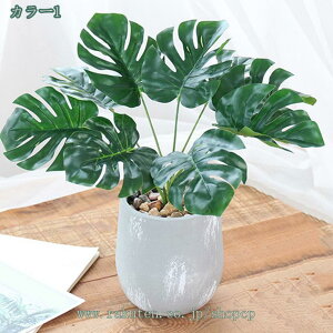 777~OFFN[| lHϗtA  tFCN O[  CeA G ϗtA  t lH  ΐA A t  Mtg Xe |gX ACr[ ~j A 