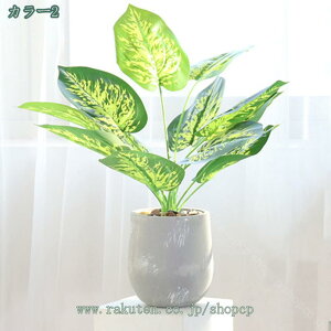 777~OFFN[| lHϗtA  tFCN O[  CeA G ϗtA  t lH  ΐA A t  Mtg Xe |gX ACr[ ~j A 