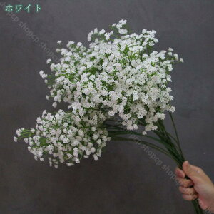 300~OFFN[|   ͂Ȃ  Rɋ߂ CeA ݑ JX~ ݂ { A[eBVt[ ԑA[gt[ Ԃ݂ p[eB[ 