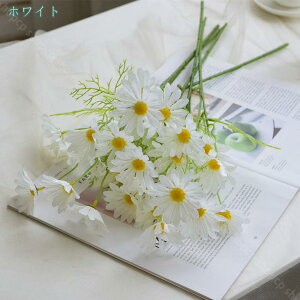 777~OFFN[| 10{ lHϗtA  gfCW[  t[AWg ͂Ȃ CeA  fR[V ͂Ȃ { Ԃ݂ DIY  ʐ^B