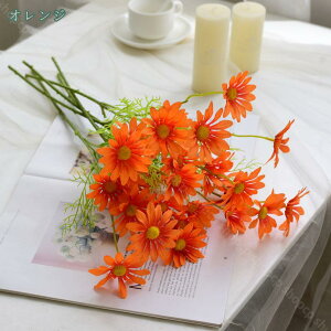 300~OFFN[| 10{ lHϗtA  gfCW[  t[AWg ͂Ȃ CeA  fR[V ͂Ȃ { Ԃ݂ DIY  ʐ^B