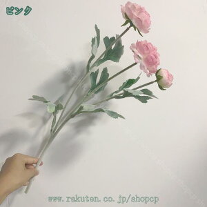 300~OFFN[|  o [Yԑ 3{Zbg KNԑ CeA A[gt[  ͂Ȃ VN ̓ v[g VNO ͂Ȃ  sN z[ EFfBOf