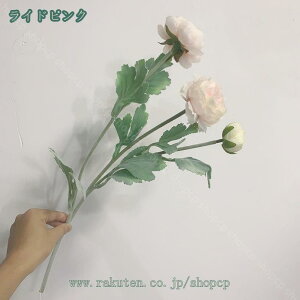 777~OFFN[| 3{Zbg  o KNԑ [Yu[P VNt[ VN[Y  AWg EFfBOp[eB[ z[fR[V tFCNỎ p[eB