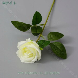 550~OFFN[| 10  [Y ԑ CeA JX~\E t[ u[P AW o[Xf[ j zCgf[ ̓ ̓ j Vw V  LO a