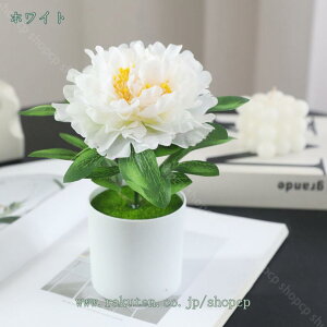 300~OFFN[| 2_Zbg  lHϗtA O [Y kX^C fR[ AWTC~ u[P ~j~ [Ybh sN Vv VNO tFCNt[ Ƃ̑ R