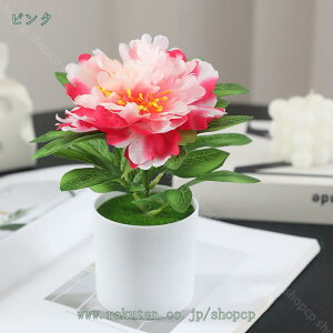 777~OFFN[| 2_Zbg  lHϗtA O [Y kX^C fR[ AWTC~ u[P ~j~ [Ybh sN Vv VNO tFCNt[ Ƃ̑ R