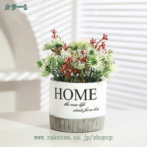 1000~OFFN[| 2_Zbg tFCNO[  CeA t CeAO[ ~j|bg Rɋ߂ tFCN  A Aؔ  Mtg ~jϗtA tFC