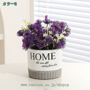 1000~OFFN[| 2_Zbg tFCNO[  CeA t CeAO[ ~j|bg Rɋ߂ tFCN  A Aؔ  Mtg ~jϗtA tFC