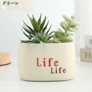 tFCNO[ A CeAO[ 킢 A~j lHϗtA  A GAvc e[ufR[V   T{e ~j A e[