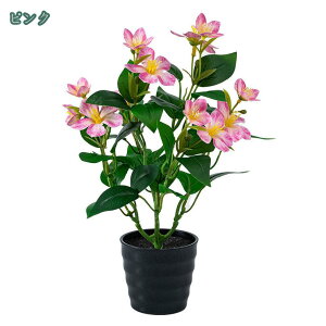  CeA  ͂Ȃ ~jA  lHϗtA |bgt ~jϗtA tFCNO[  lHϗtA   ItBX   iX tFCNA 