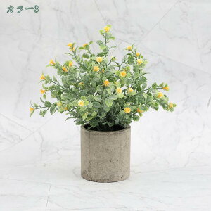 300~OFFN[| tFCNO[  ~j t lHϗtA  CeAG CeA a  b炸 sv ItBX z[fR[V  Vzj 