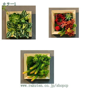 1000~OFFN[| lHA Ǌ| EH[O[ tFCNO[ lHϗtA 킢 {  CeA  JtF X X^CbV Xg Xܑ