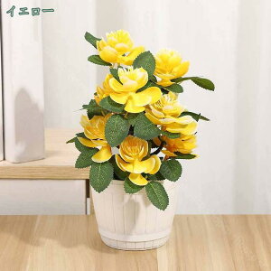  lHϗtA [Y o A ~j  tFCNO[ lHϗtA CeA ItBX z[  fR[V CeAO[ |bgt Ϗܗp ~ lH