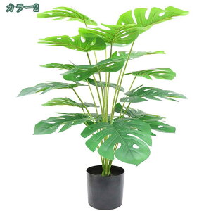 1000~OFFN[| tFCNO[ Xe { CeA tFCNXe lHϗtA    lHA   rO ItBX W[ Xe 