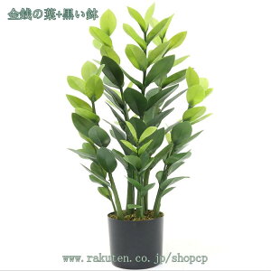 1000~OFFN[| lHϗtA tFCNO[ ^ ϗtA 75cm A t CeA A { tFCNO[ lHϗtA |bg CeA   r