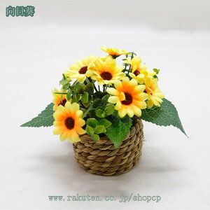 ~jϗtA Ђ܂  ~j A tFCNO[ lHϗtA  킢 CeA  ͂Ȃ VN ʐ^Be j v[g  ItBX  