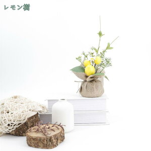 300~OFFN[| lHϗtA  A  EG̉ʎt tFCNO[ CeAO[ A N₩  t[c ₷ sv Q쏜sv u
