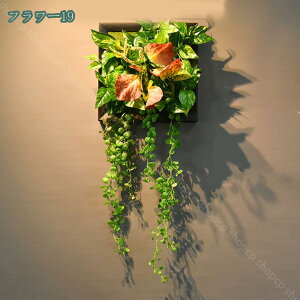 lHϗtA tFCNO[ lHA ~j AA ͂Ȃ Aؔ  z[  fR[V vX`bN ۋ Ђ  ݂ T{e CeAG  n