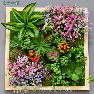 lHϗtA tFCNO[ lHA ~j EH[O[ ͂Ȃ fR[V ~jT{e  z[  gC ItBX  CeA  T{e Mtg 