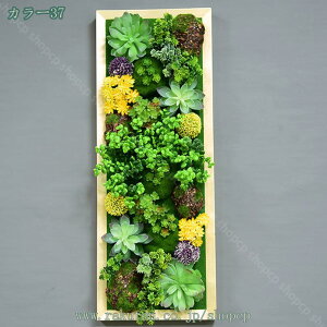 lHϗtA tFCNO[ lHA ~j EH[O[ ͂Ȃ fR[V ~jT{e  z[  gC ItBX  CeA  T{e Mtg 