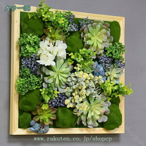 lHϗtA tFCNO[ lHA ~j EH[O[ ͂Ȃ fR[V ~jT{e  z[  gC ItBX  CeA  T{e Mtg 