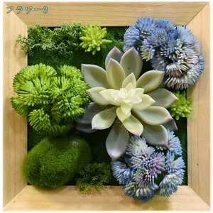 lHϗtA tFCNO[ lHA ~j AA ͂Ȃ Aؔ  z[  fR[V vX`bN ۋ Ђ  ݂ T{e CeAG  n