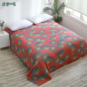 6d K[[Pbg VO 100% vPbg   y Rbg100   􂦂 Ȗѕz z ʋC K[[ | zc |Pbg [΍ K[[ K Q _炩 oY