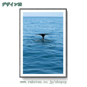 500~OFFN[| A[gpl Cm NW G _ Aj} k A[g |X^[ t[ Ǌ| A[gt[ CeA G A[g{[h CeA pl|