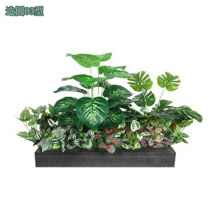 ^ lHϗtA  tFCNO[ i` ItBX rO X  CeA 傫  킢 {͕킵Ă Mъϗt A lHA Ԏd؂ ډB 