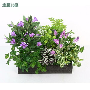 2000~OFFN[| lHϗtA tFCN V lH Mъϗt tFCNXO[ A 뉀 sv lHϗtA ^ϗt  ֐ Vbv  rO xbh[