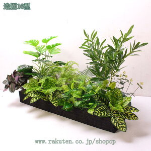 lHϗtA tFCN V lH Mъϗt tFCNXO[ A 뉀 sv lHϗtA ^ϗt  ֐ Vbv  rO xbh[ JtF ItB